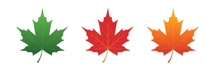 Colorful Maple Leaf Vector Set EPS for Autumn, Canadian, and Nature Designs