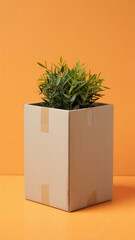 Minimalist product photography of a small green potted plant in a beige cardboard box against a solid orange background

