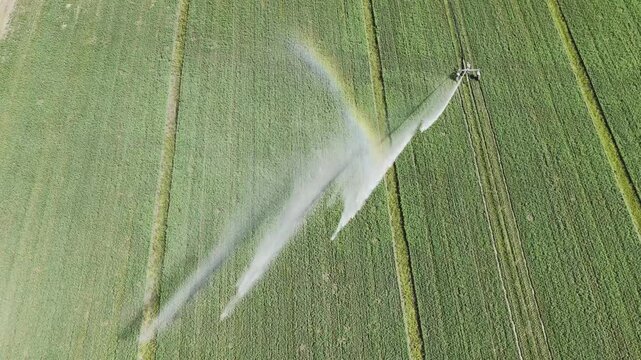 Irrigazione con irrigatore a pressione agricoltura moderna