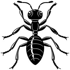 black spider vector illustration