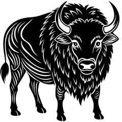 black and white bull