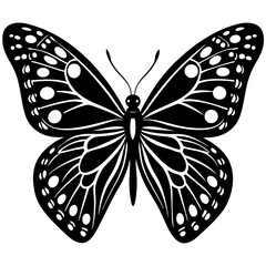 butterfly vector illustration