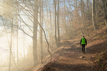 Lone hiker in bright green jacket walking uphill on autumn forest path with golden sunlight...