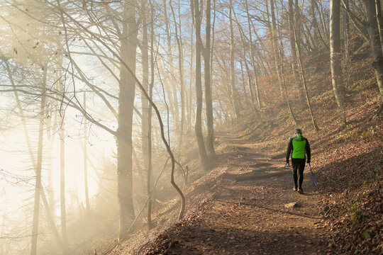 Lone hiker in bright green jacket walking uphill on autumn forest path with golden sunlight streaming through morning mist, creating ethereal woodland atmosphere
