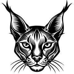 Fototapeta premium tiger head vector