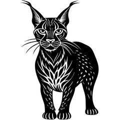 black cat vector illustration