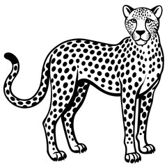 leopard vector illustration