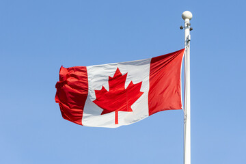 The Canadian flag, on a white flagpole, waving in the wind with a blue sky in the background.
