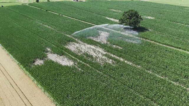 Irrigazione con irrigatore a pressione agricoltura moderna