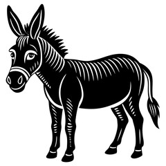 zebra vector illustration