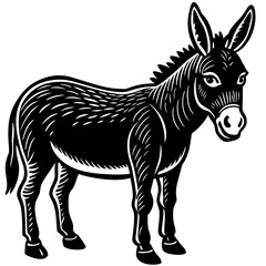 donkey vector illustration