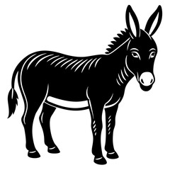 zebra vector illustration
