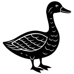 duck isolated on white