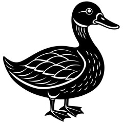 duck isolated on white