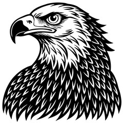 eagle vector illustration