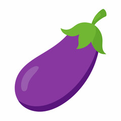 Eggplant vector illustration white background