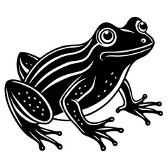 frog on a white background