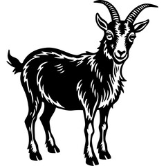 goat on a white background