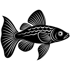 fish on a white background