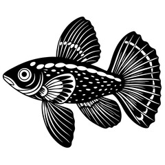 black and white butterfly