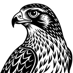 eagle vector illustration