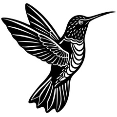 hummingbird in flight