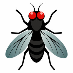 fly on white background