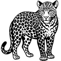vector illustration of leopard