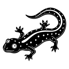 lizard on a white background