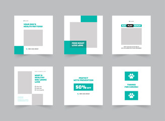 Dog Health Social Media Post Design