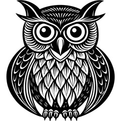 owl on white background