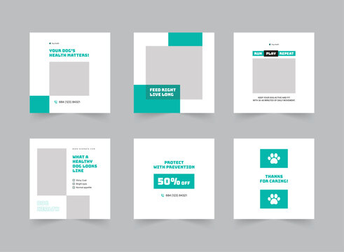 Dog Health Social Media Post Design