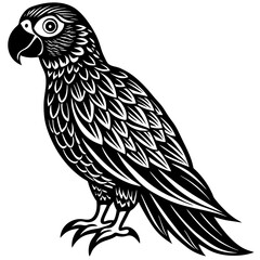 vector illustration of an owl