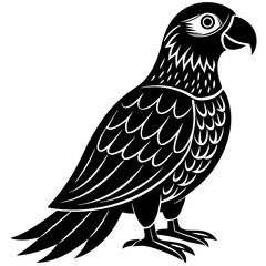 eagle isolated on white background