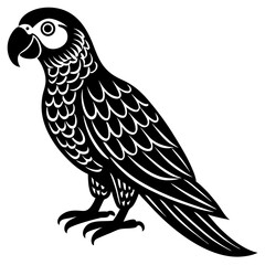 vector illustration of an owl