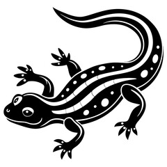 lizard on a white background