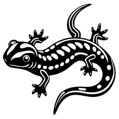 lizard on a white background