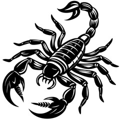 scorpion vector illustration
