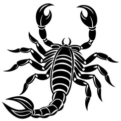 scorpion vector illustration