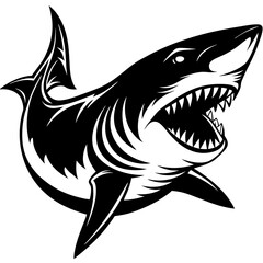 shark vector illustration