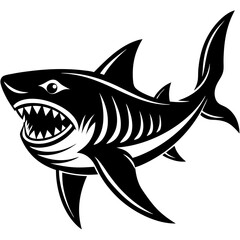 shark vector illustration