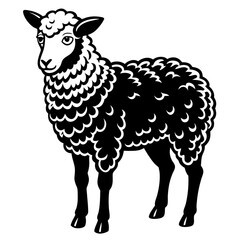 vector illustration of sheep