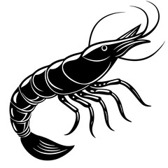 shrimp vector illustration