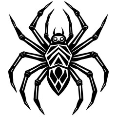 spider isolated on white background