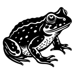 frog vector illustration