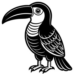 toucan bird vector illustration