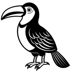 toucan bird cartoon