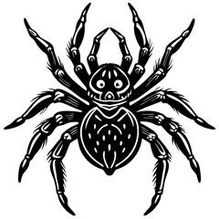 black and white spider