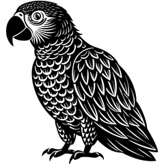 parrot on a branch