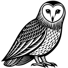 owl on white background